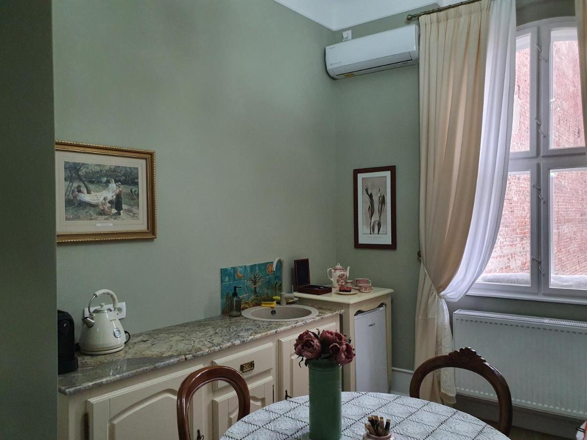 Elisabeth Apartment Oradea Bagian luar foto